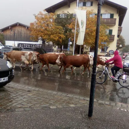 Landgasthof Kirchmayer-3